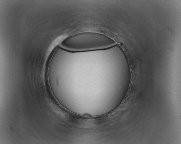 X0000114150104200910081121