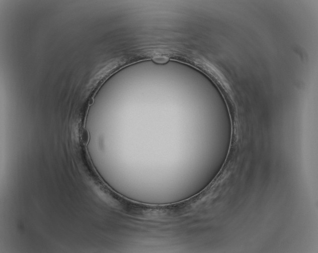 X0000114150105200910081121