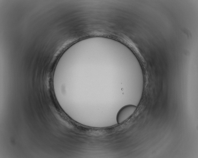 X0000114150106200910081121