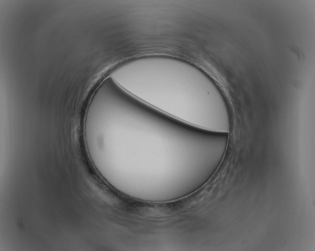 X0000114150107200910081121