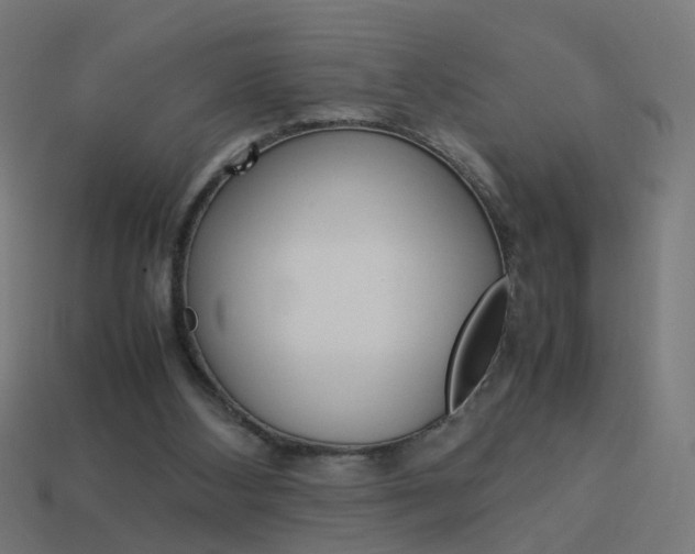 X0000114150108200910081121