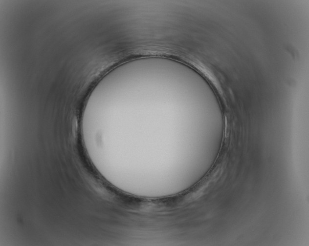 X0000114150109200910081121