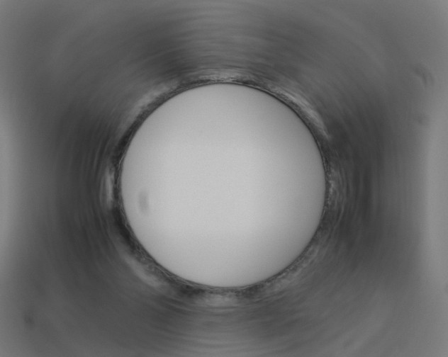 X0000114150110200910081121