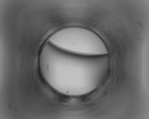 X0000114150111200910081121