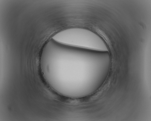 X0000114150113200910081121