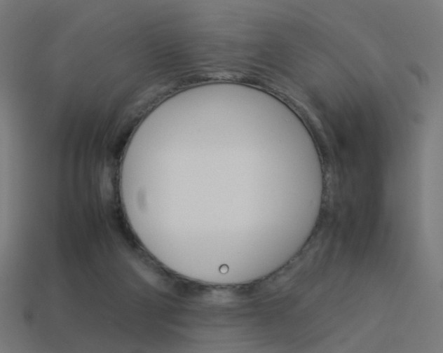 X0000114150114200910081121