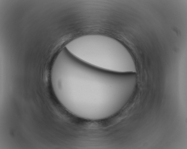 X0000114150115200910081121