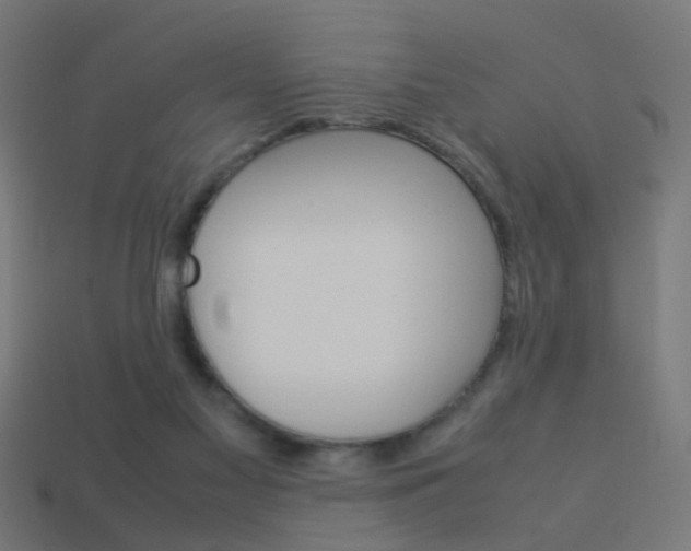 X0000114150117200910081121