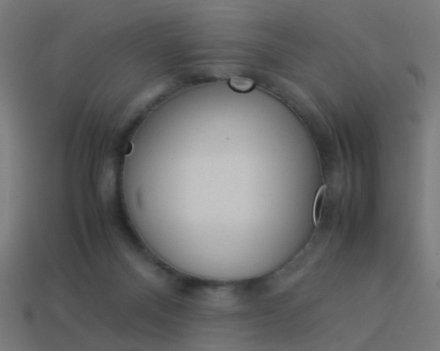 X0000114150120200910081121