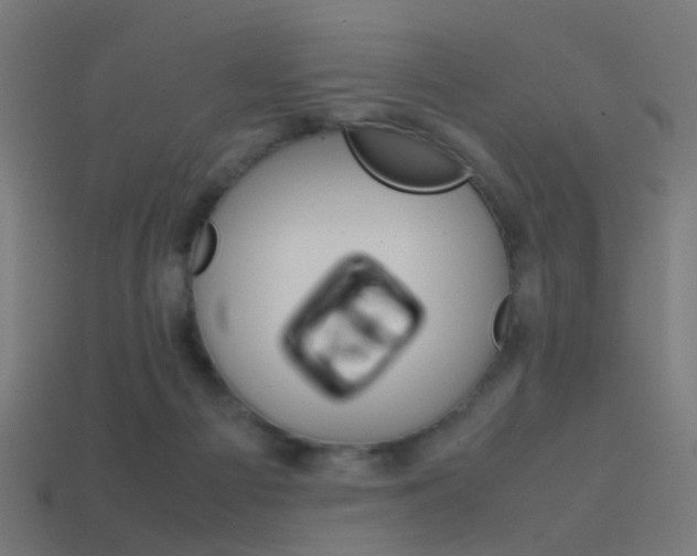 X0000114150121200910081121