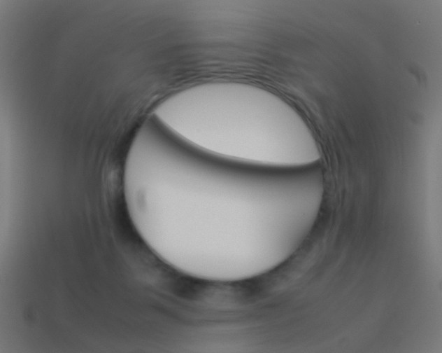 X0000114150123200910081121