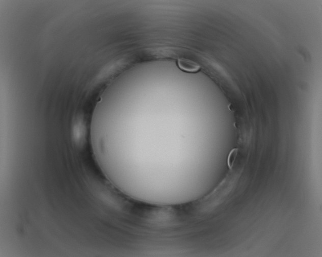 X0000114150124200910081121