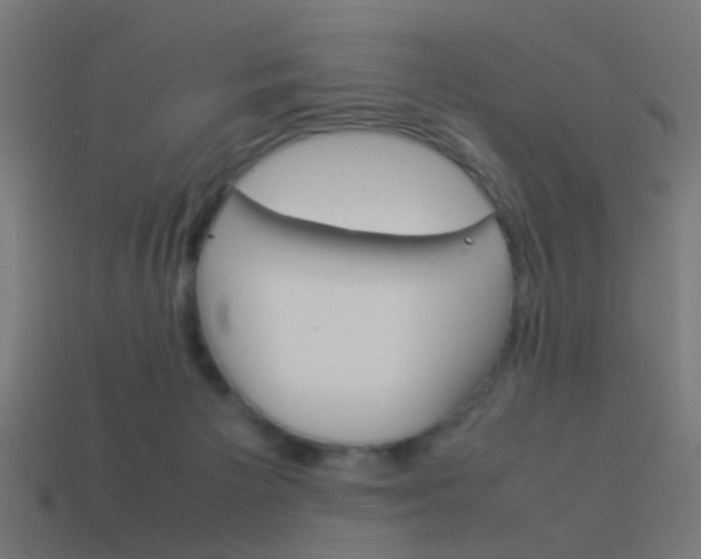 X0000114150125200910081121