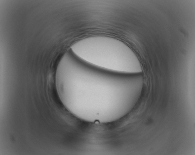 X0000114150127200910081121