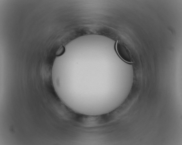 X0000114150129200910081121
