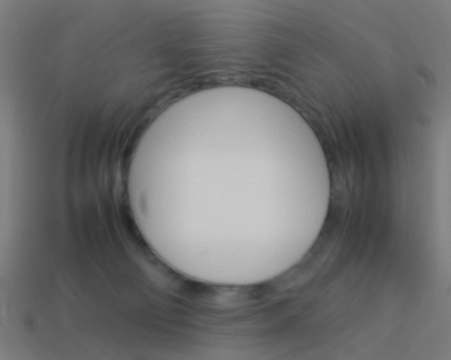 X0000114150130200910081121