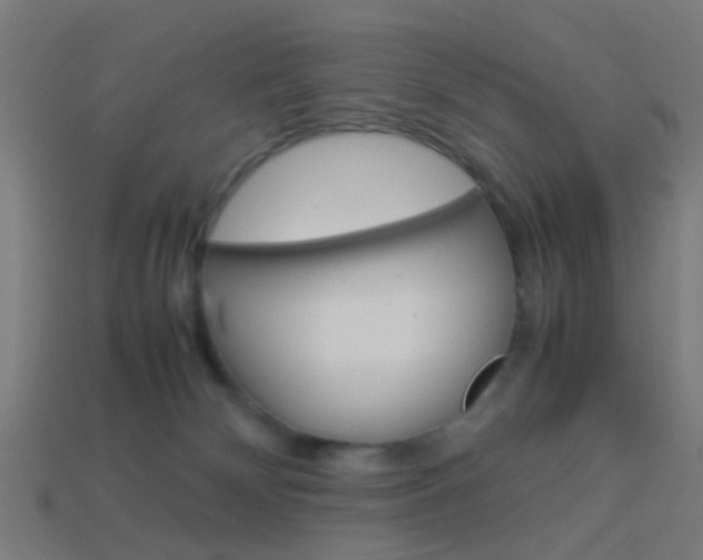 X0000114150132200910081121