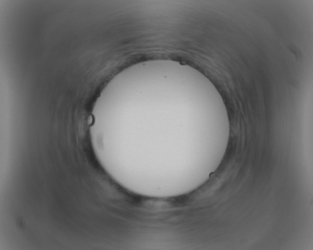 X0000114150133200910081121