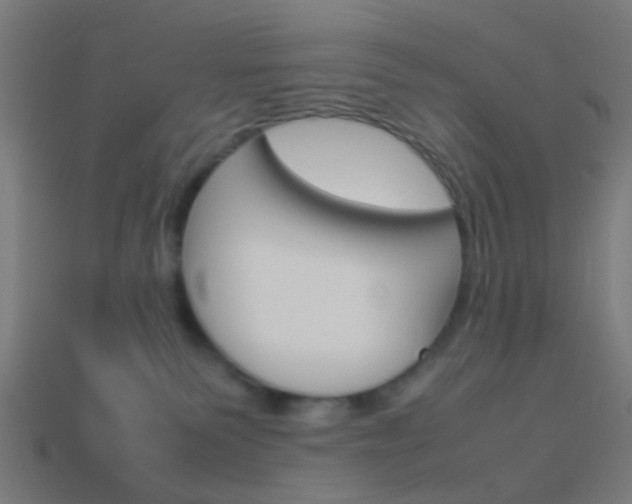 X0000114150135200910081121