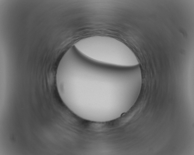 X0000114150139200910081121