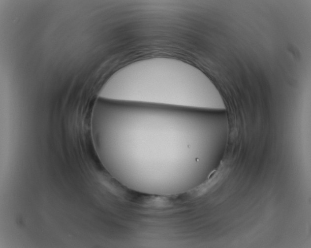 X0000114150140200910081121