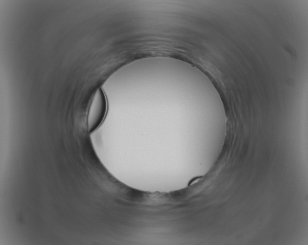 X0000114150141200910081120
