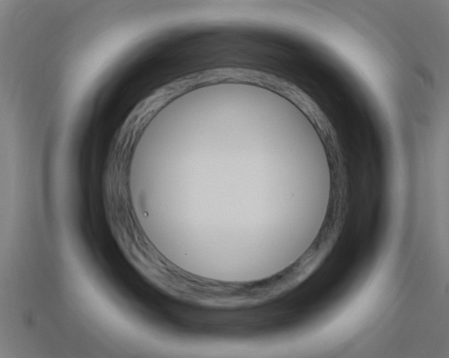 X0000114150142200910081120
