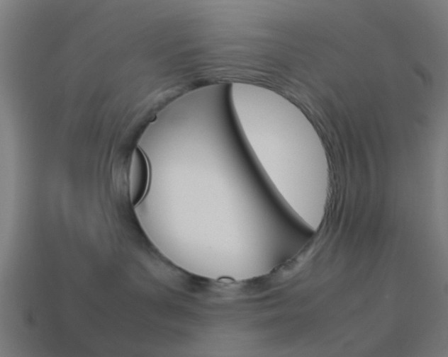 X0000114150143200910081120