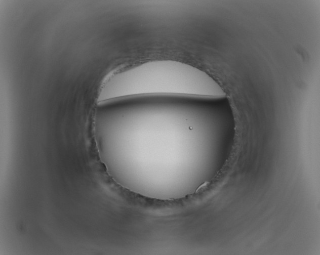X0000114150144200910081120