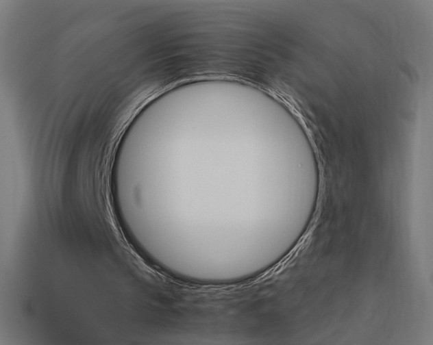 X0000114150145200910081120