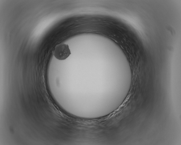 X0000114150146200910081120
