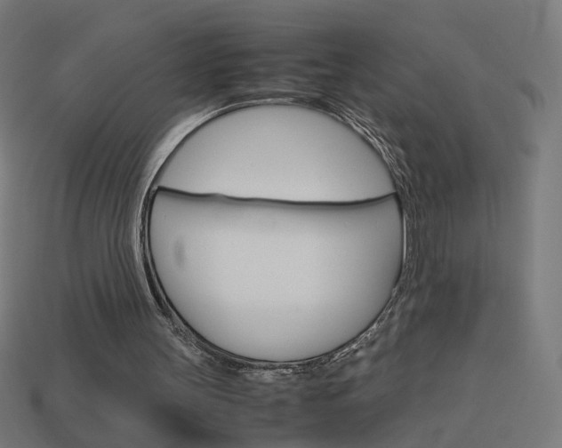 X0000114150147200910081120