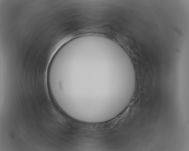 X0000114150148200910081120