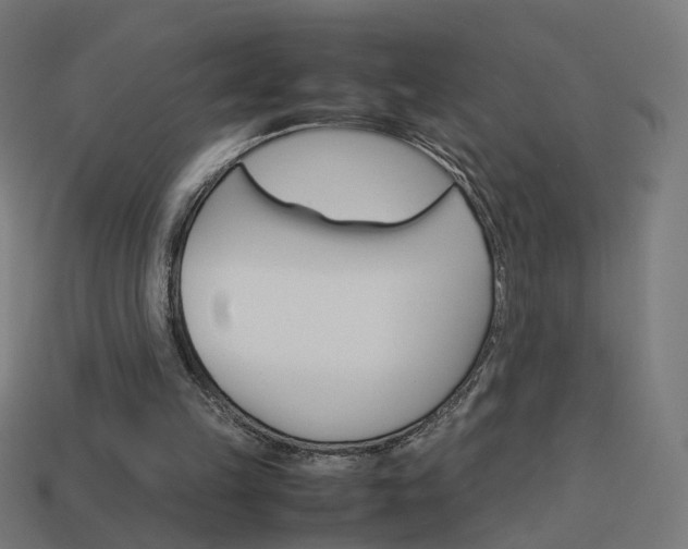 X0000114150149200910081120
