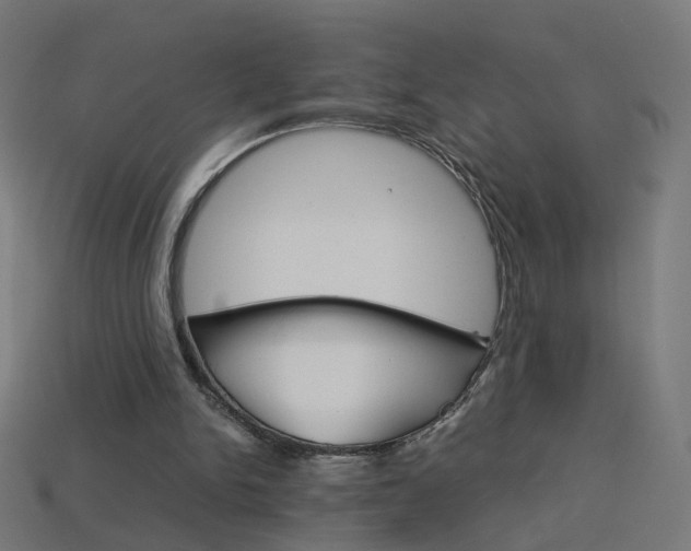 X0000114150150200910081120