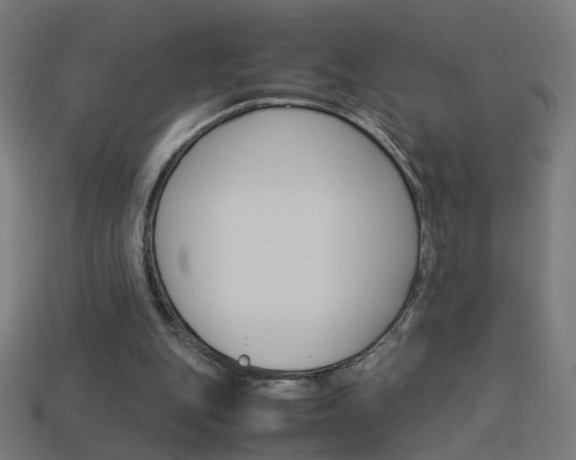 X0000114150151200910081120