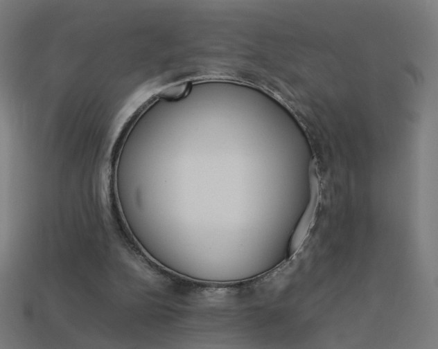 X0000114150152200910081120