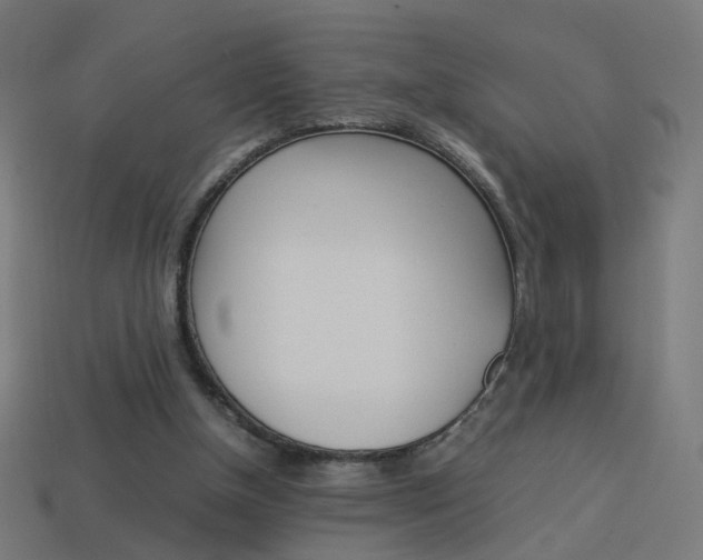 X0000114150154200910081120
