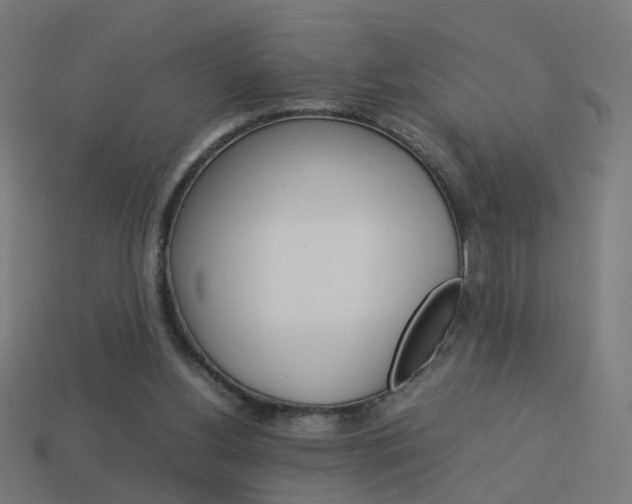 X0000114150156200910081120