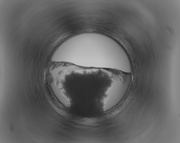 X0000114150157200910081120