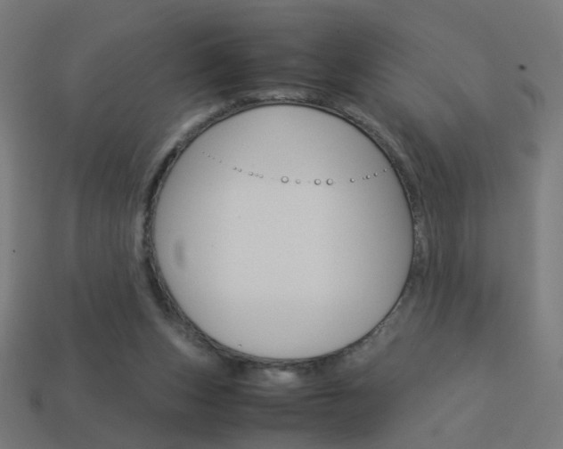 X0000114150159200910081120