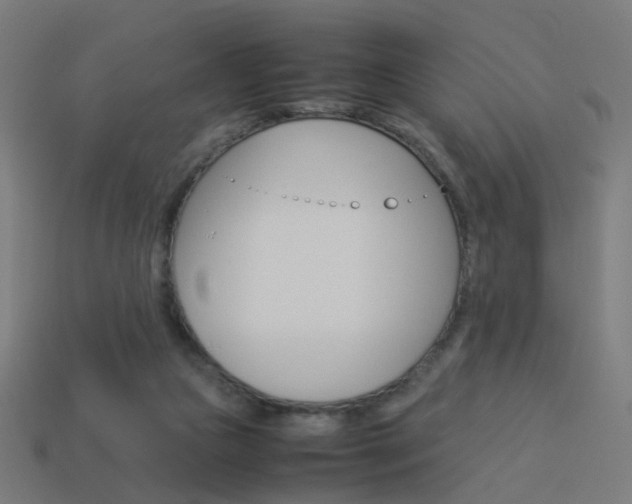 X0000114150161200910081120