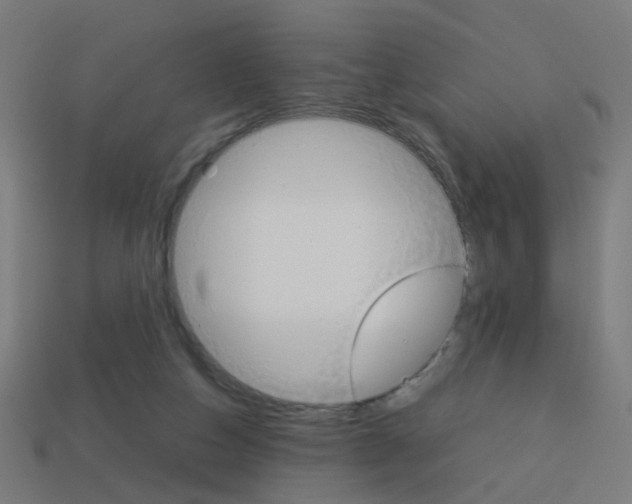 X0000114150162200910081120