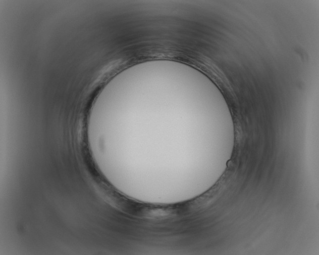 X0000114150163200910081120