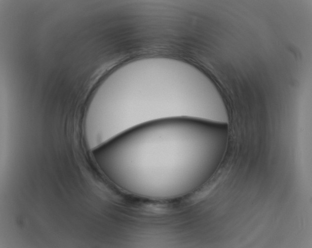 X0000114150164200910081120