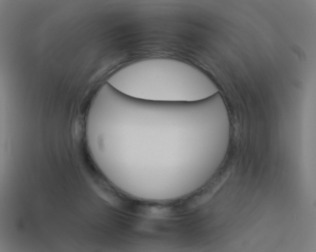 X0000114150165200910081120