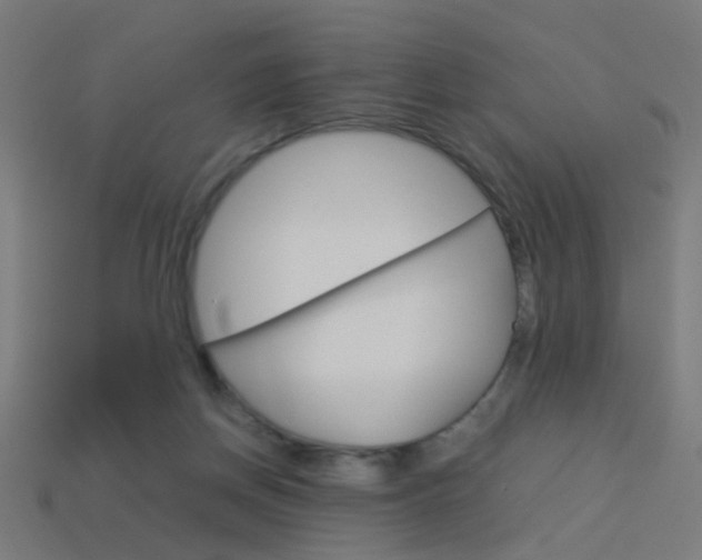 X0000114150166200910081120
