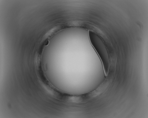 X0000114150168200910081120