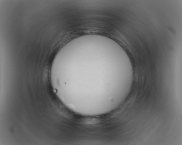 X0000114150169200910081120