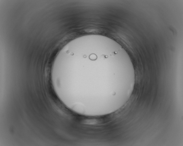 X0000114150171200910081120